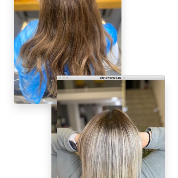 87f349de-c274-419c-8f90-bf89b28275e9