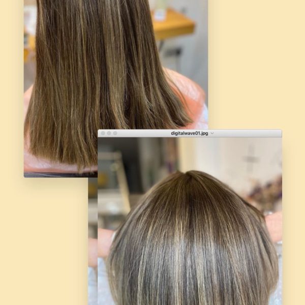 9a097faf-7fab-44a3-8db5-41712232d45e